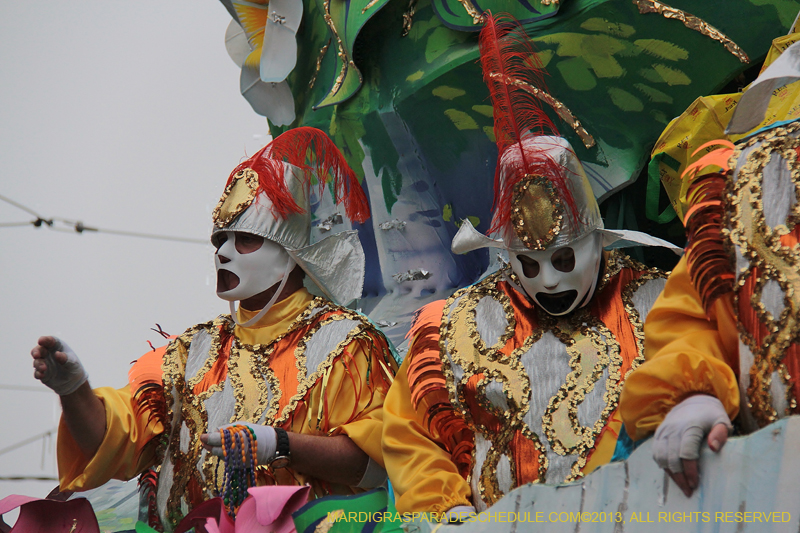 Rex-Organization-2013-1349