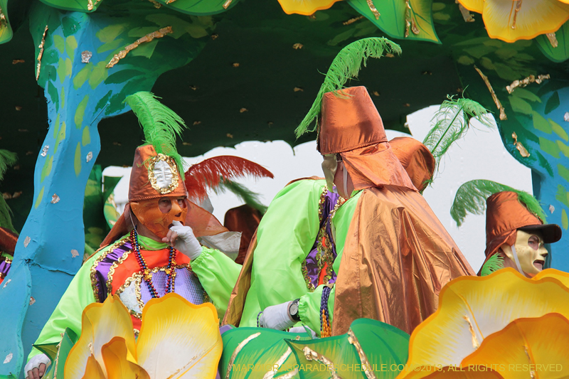 Rex-Organization-2013-1358