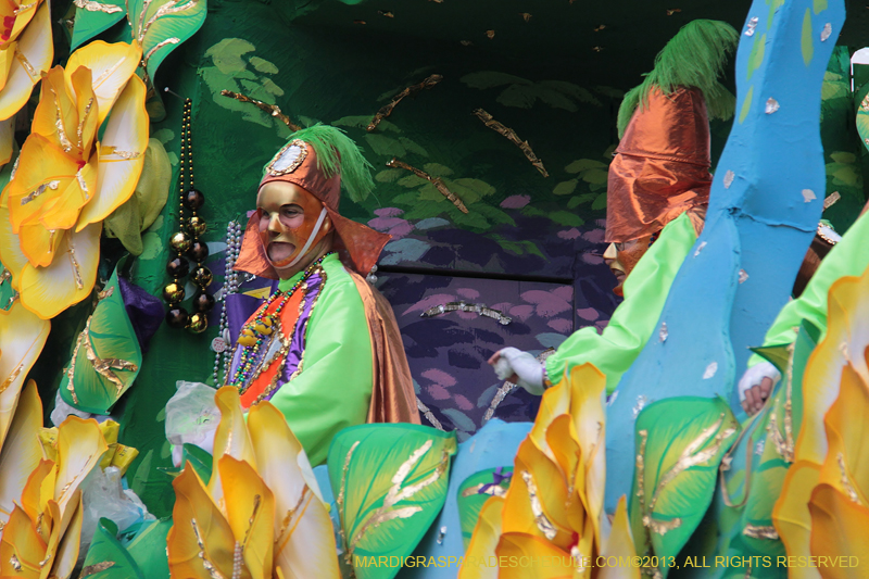 Rex-Organization-2013-1359