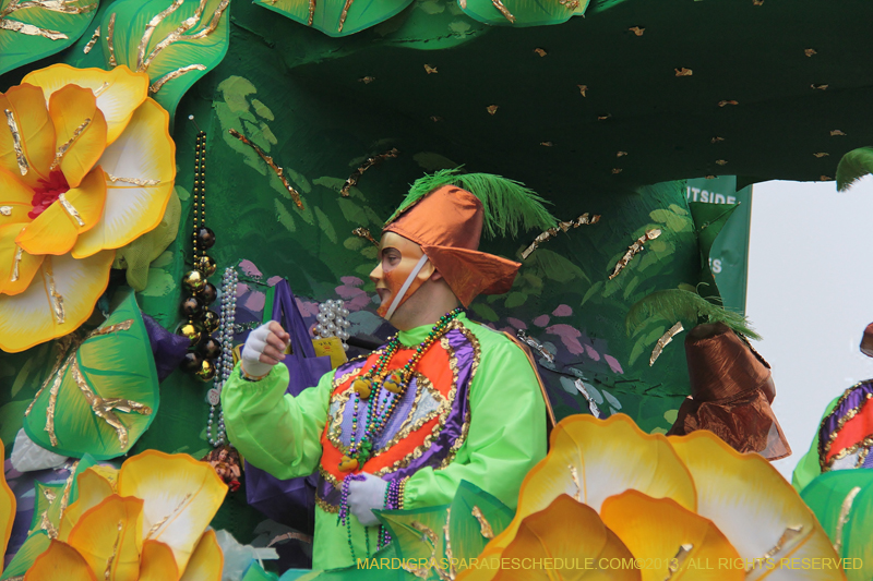 Rex-Organization-2013-1365