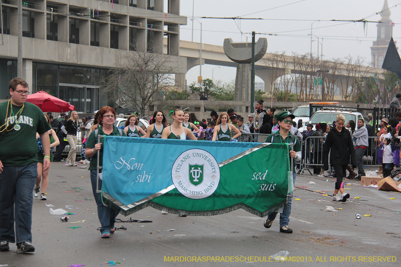 Rex-Organization-2013-1366