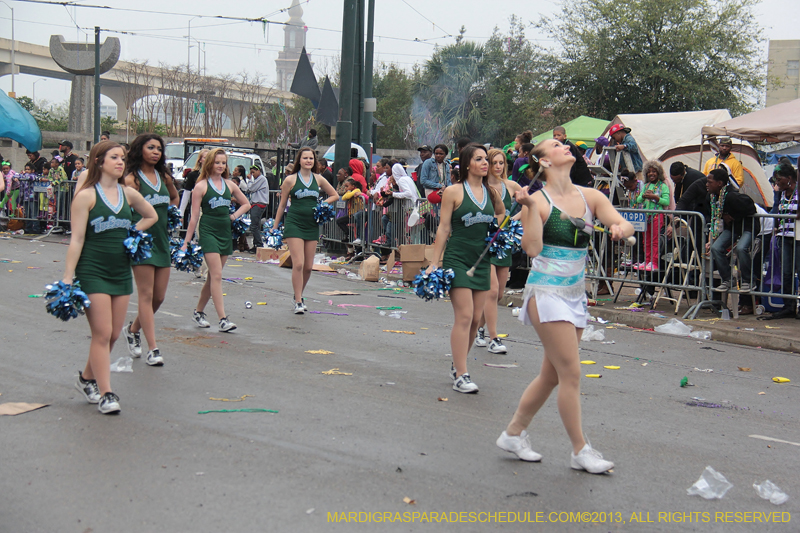 Rex-Organization-2013-1367