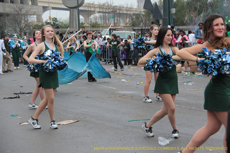 Rex-Organization-2013-1368