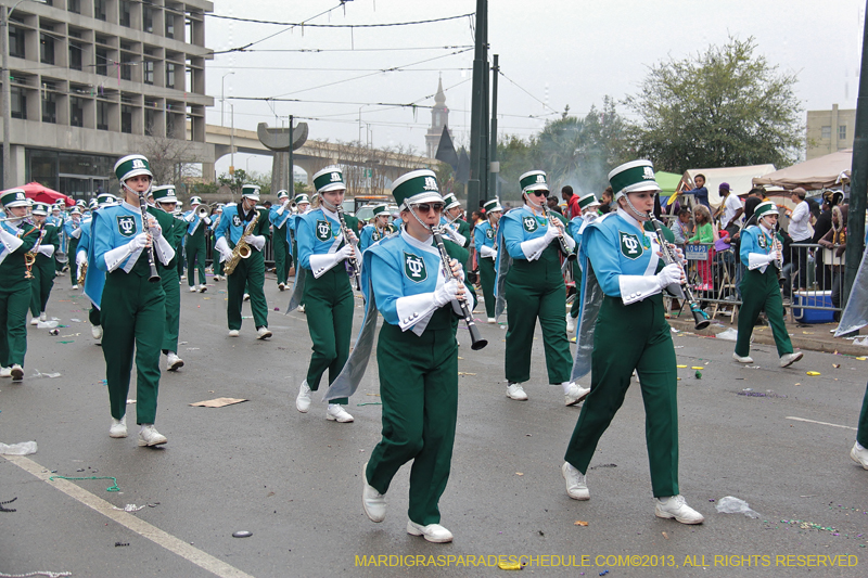 Rex-Organization-2013-1372