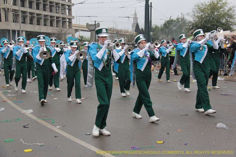 Rex-Organization-2013-1373