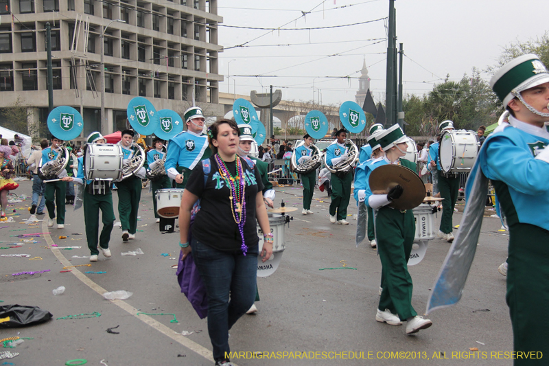 Rex-Organization-2013-1374