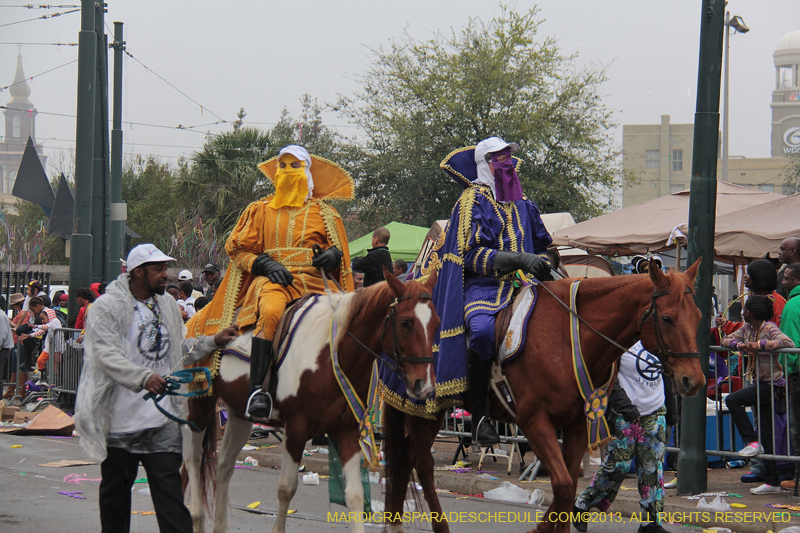 Rex-Organization-2013-1376