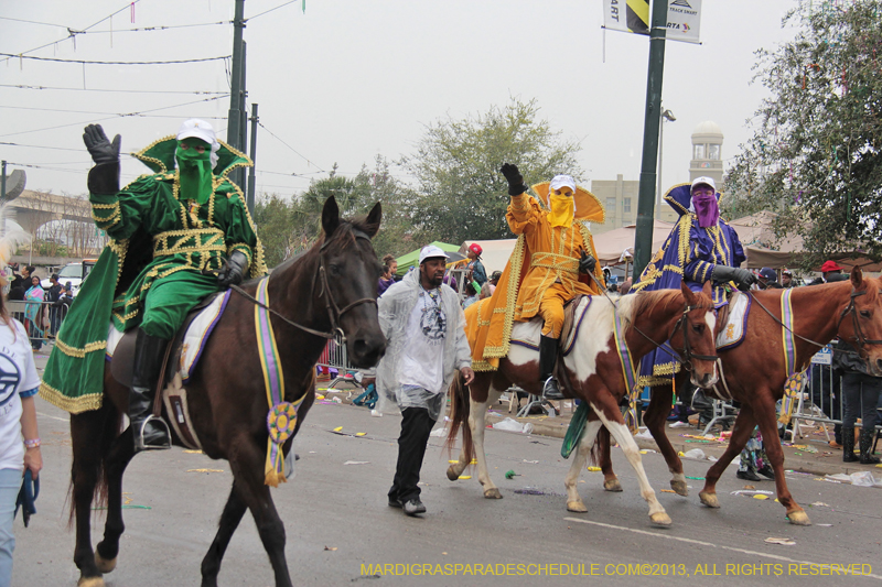 Rex-Organization-2013-1377