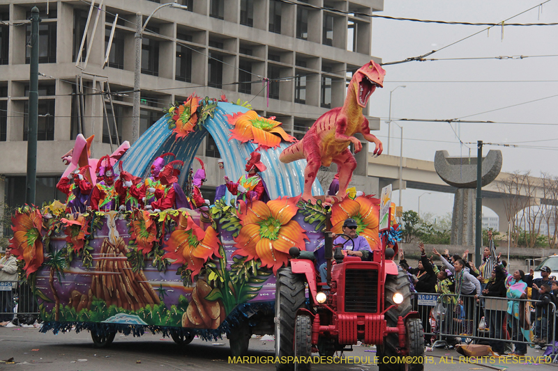 Rex-Organization-2013-1378