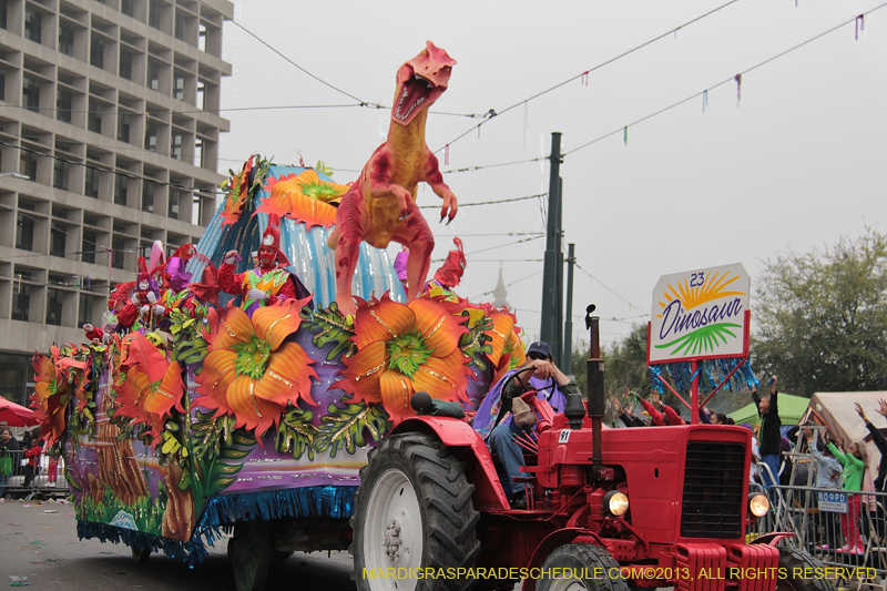 Rex-Organization-2013-1379