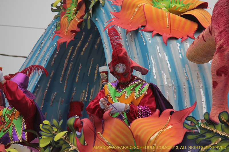 Rex-Organization-2013-1380