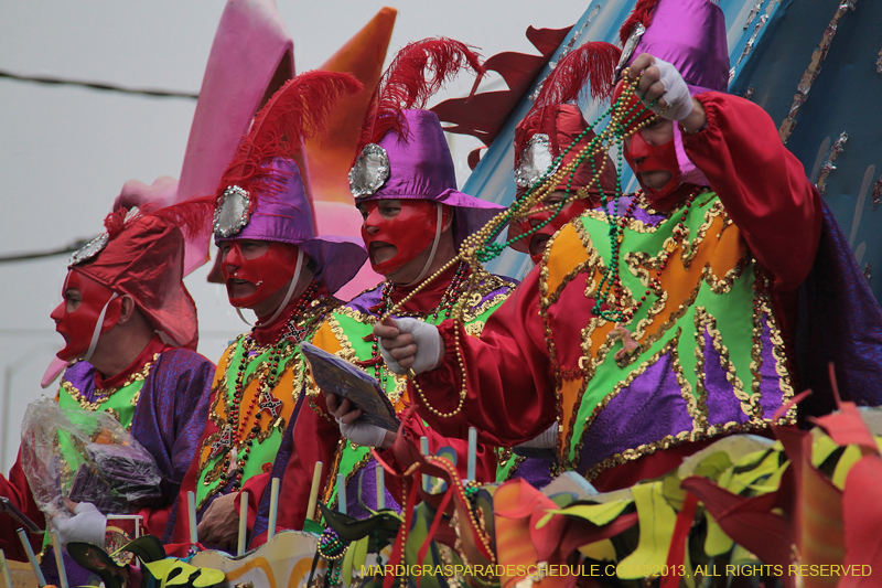 Rex-Organization-2013-1381