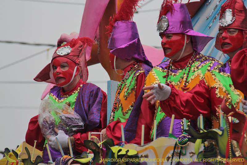 Rex-Organization-2013-1382