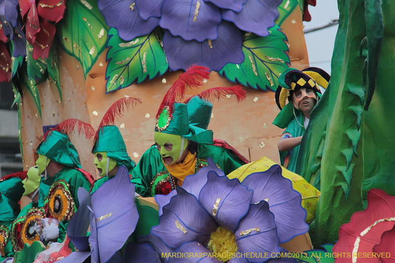 Rex-Organization-2013-1387