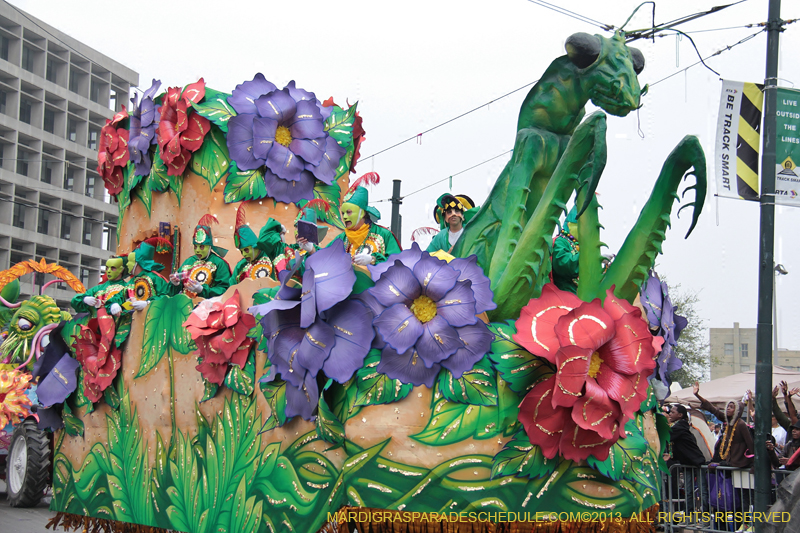 Rex-Organization-2013-1388