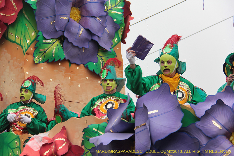 Rex-Organization-2013-1389