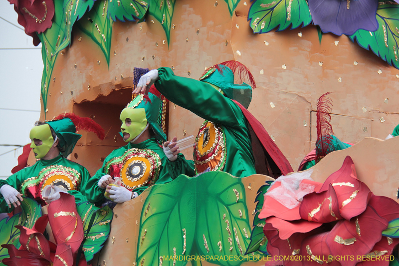 Rex-Organization-2013-1390