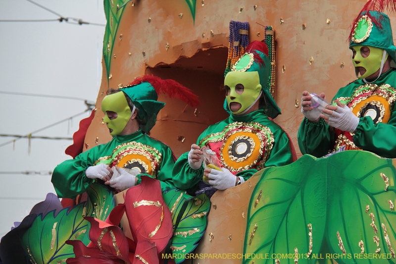 Rex-Organization-2013-1391