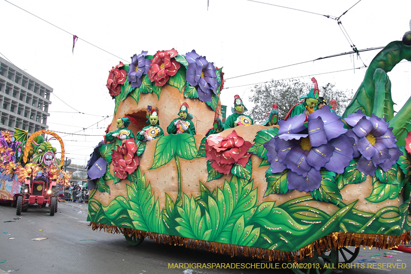 Rex-Organization-2013-1392