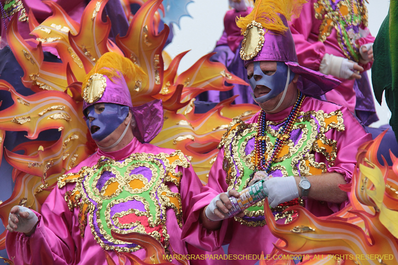 Rex-Organization-2013-1395