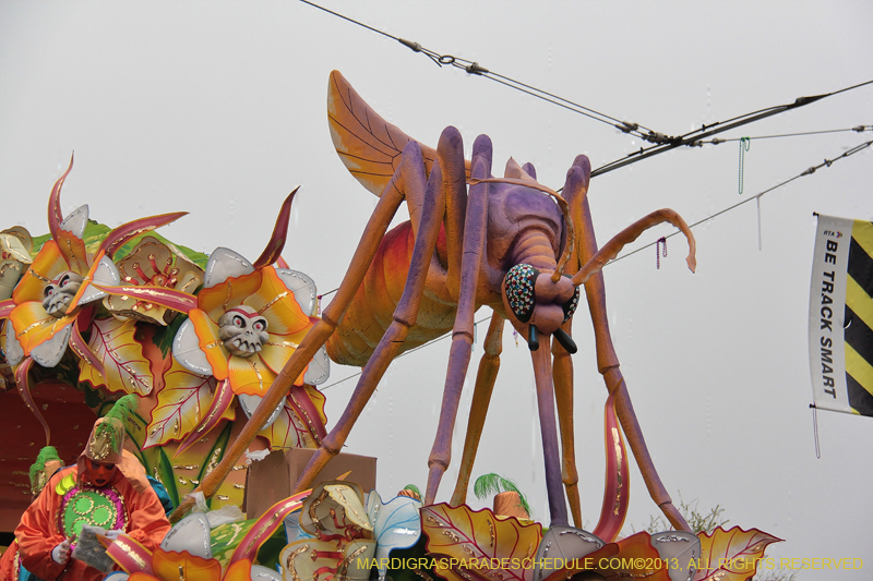 Rex-Organization-2013-1404