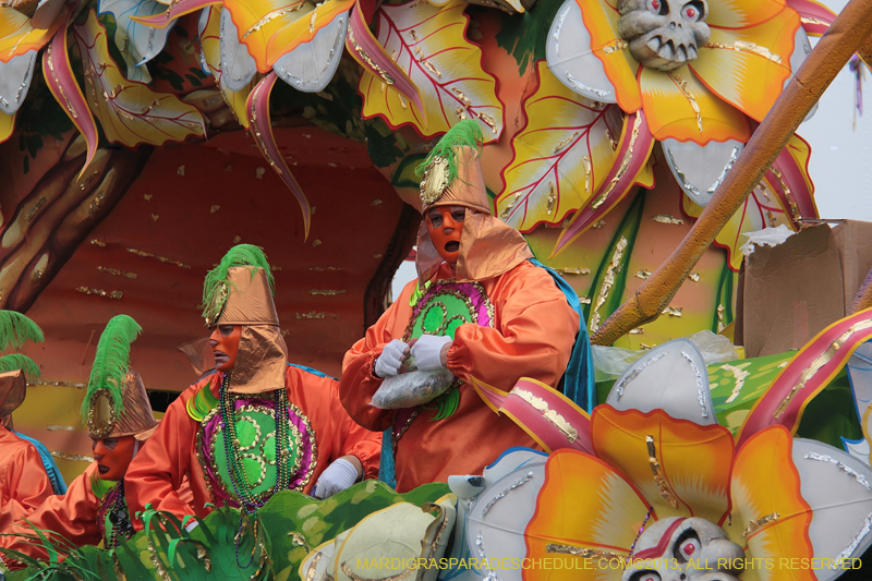 Rex-Organization-2013-1405