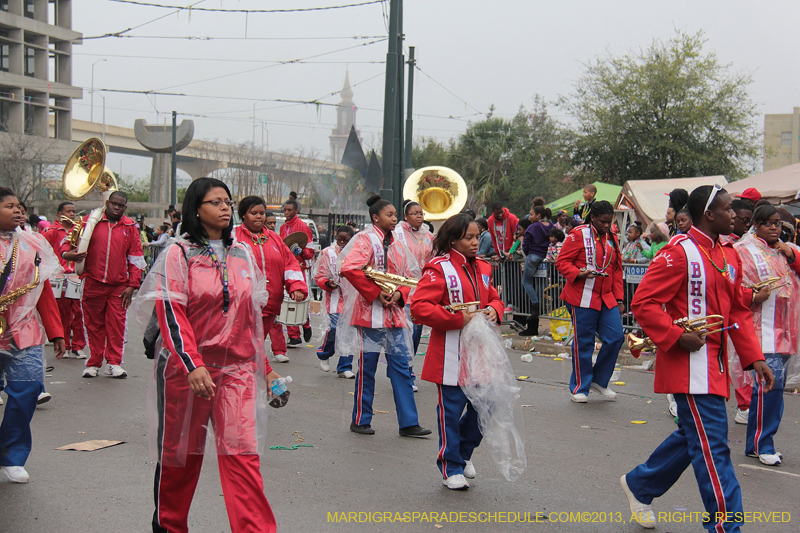 Rex-Organization-2013-1410