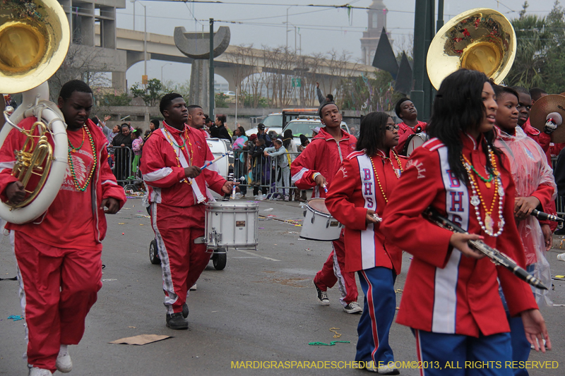 Rex-Organization-2013-1412