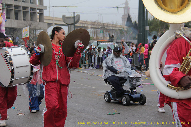 Rex-Organization-2013-1413