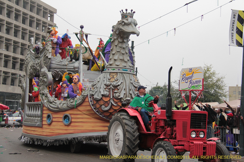 Rex-Organization-2013-1430