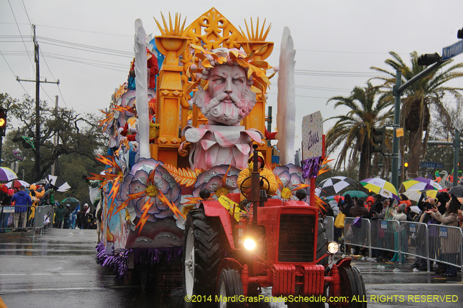 2014-Rex-King-of-Carnival-11158