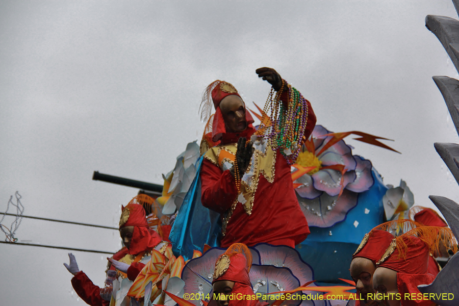 2014-Rex-King-of-Carnival-11159