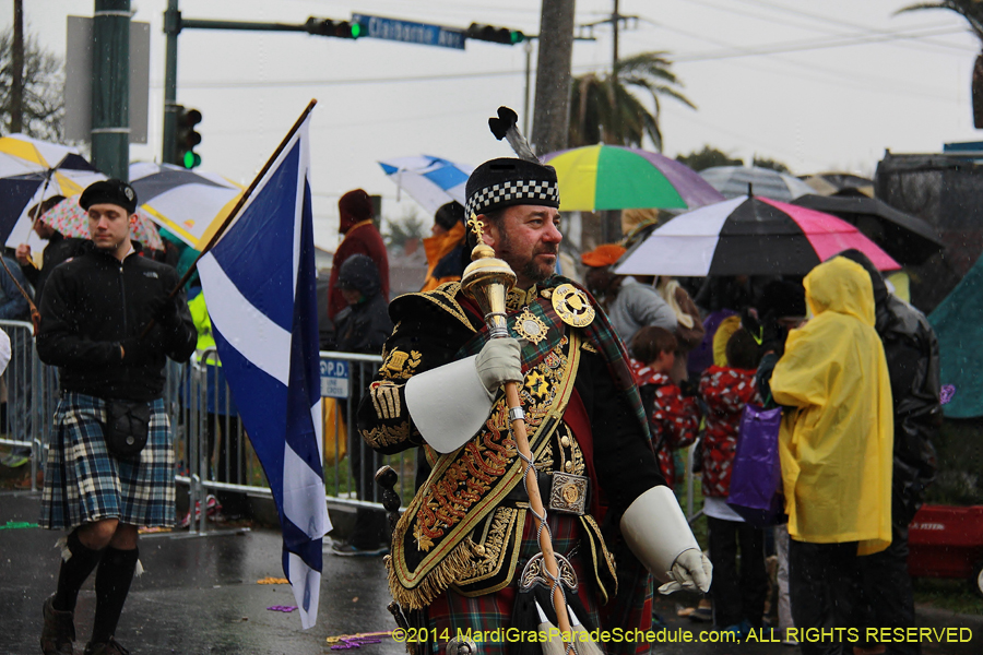 2014-Rex-King-of-Carnival-11173