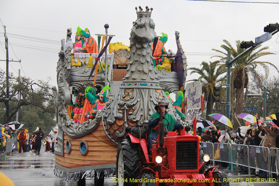 2014-Rex-King-of-Carnival-11176