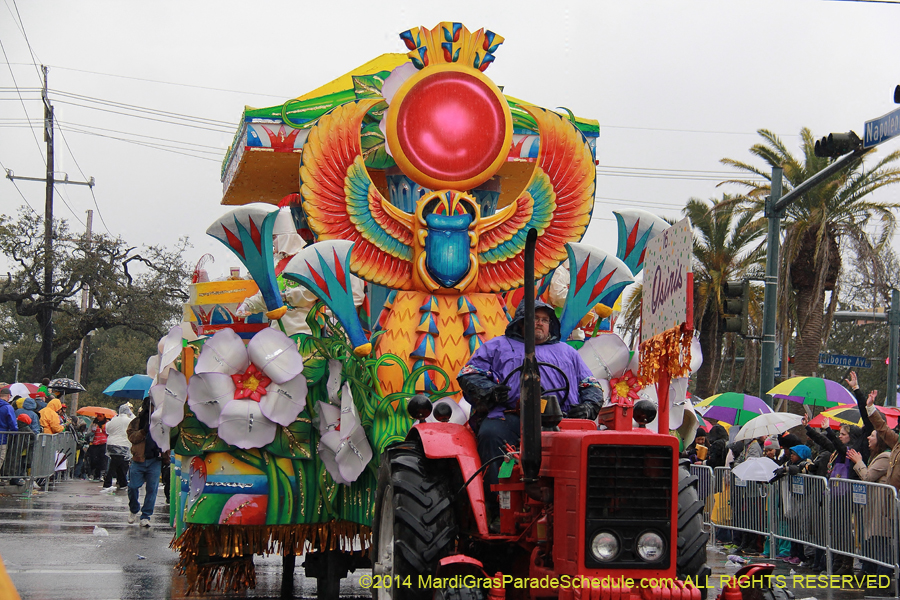 2014-Rex-King-of-Carnival-11185