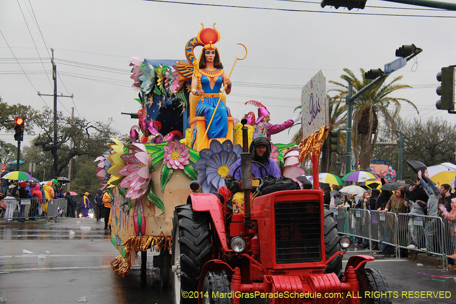 2014-Rex-King-of-Carnival-11202