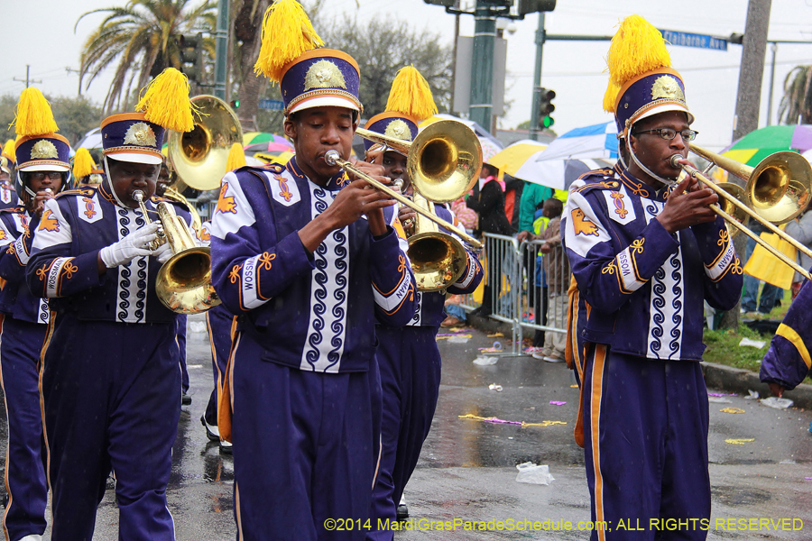 2014-Rex-King-of-Carnival-11211