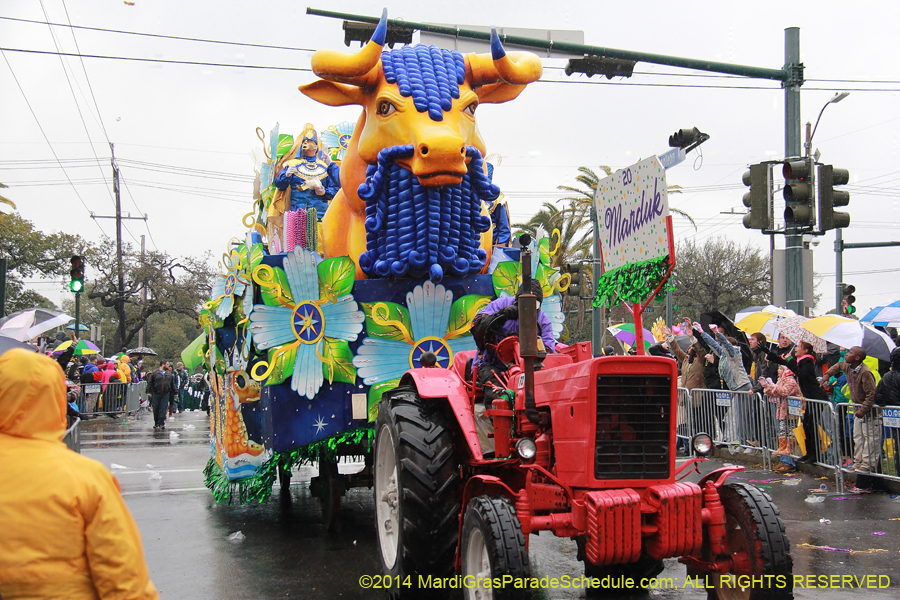 2014-Rex-King-of-Carnival-11221