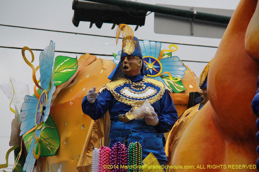 2014-Rex-King-of-Carnival-11222