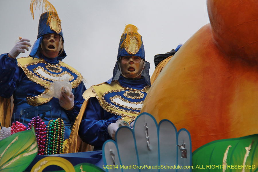 2014-Rex-King-of-Carnival-11223