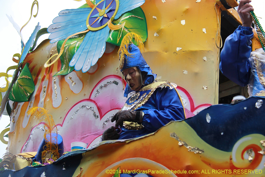 2014-Rex-King-of-Carnival-11225