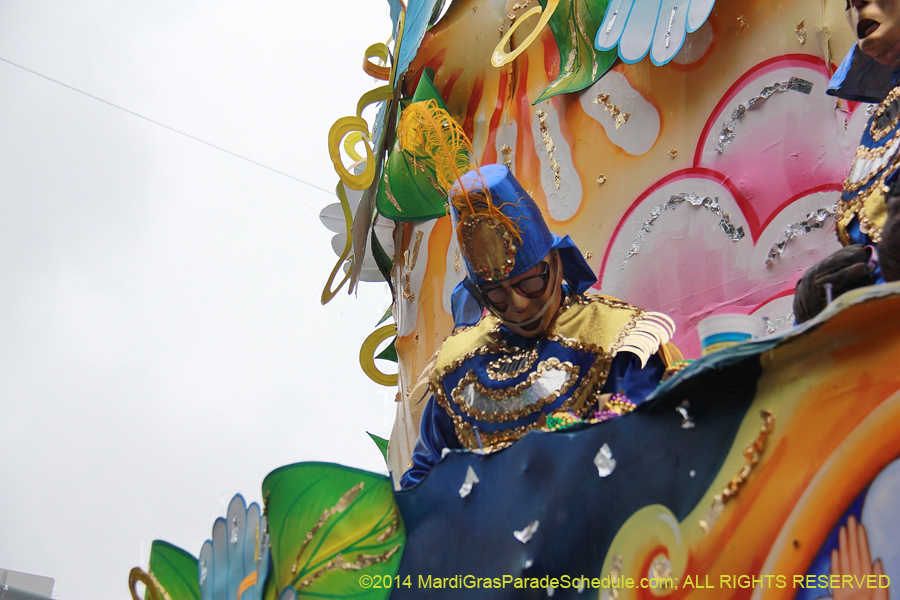 2014-Rex-King-of-Carnival-11226