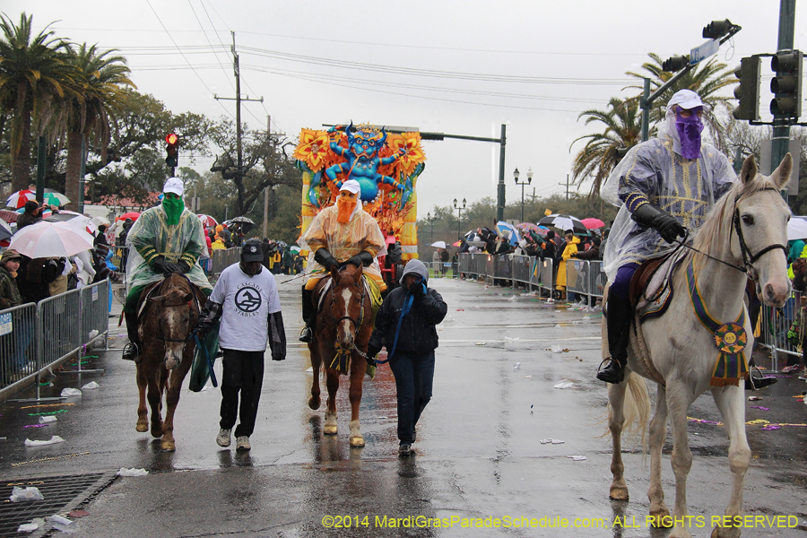 2014-Rex-King-of-Carnival-11248