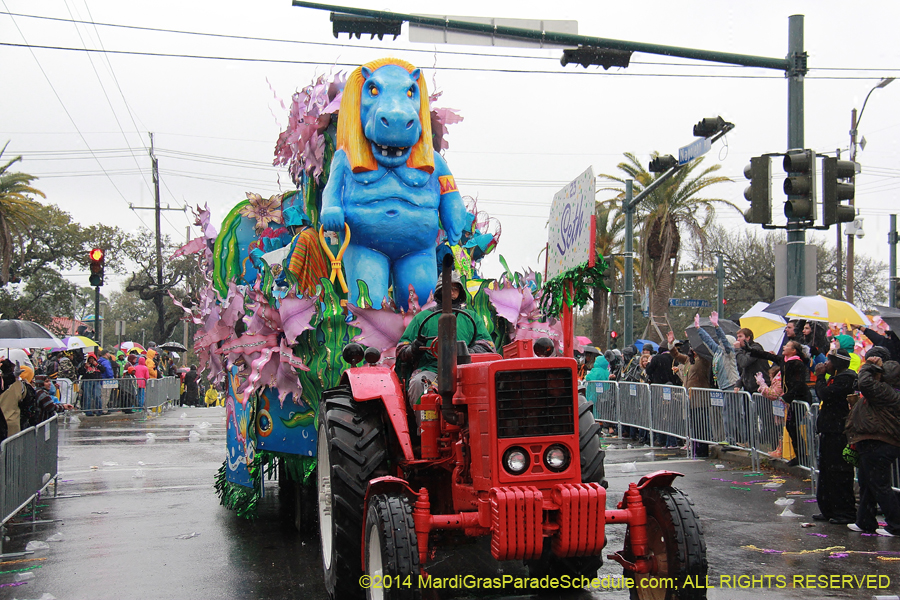 2014-Rex-King-of-Carnival-11260