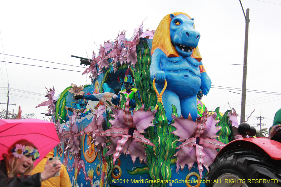 2014-Rex-King-of-Carnival-11261