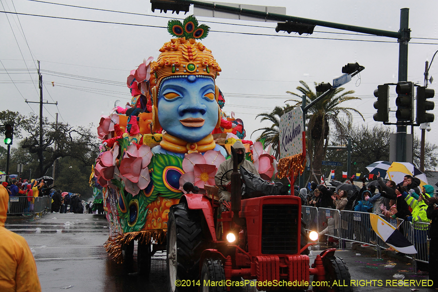 2014-Rex-King-of-Carnival-11278