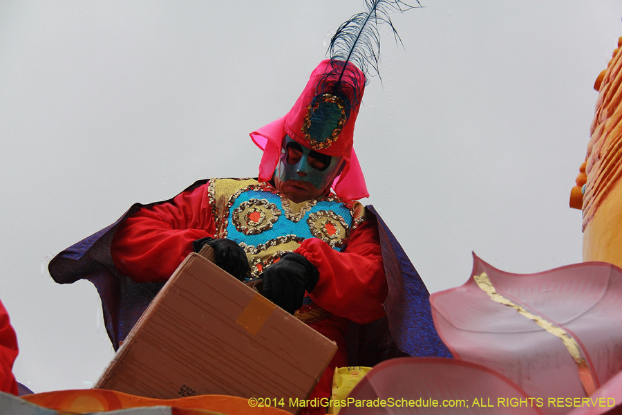 2014-Rex-King-of-Carnival-11282