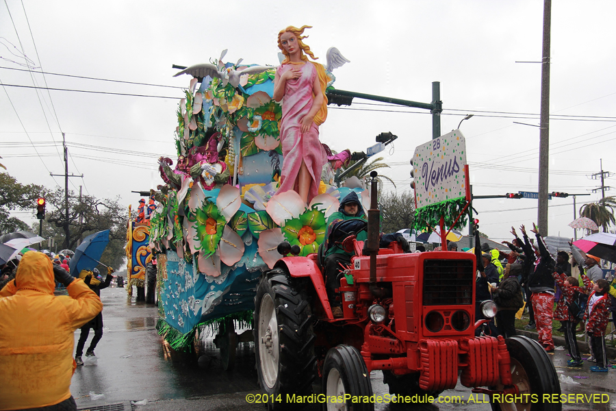 2014-Rex-King-of-Carnival-11309