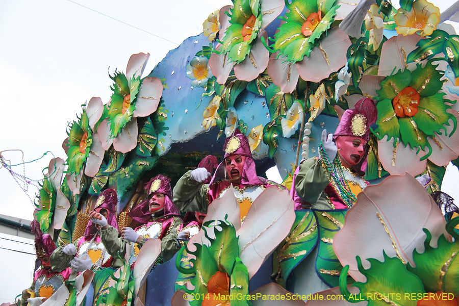 2014-Rex-King-of-Carnival-11312