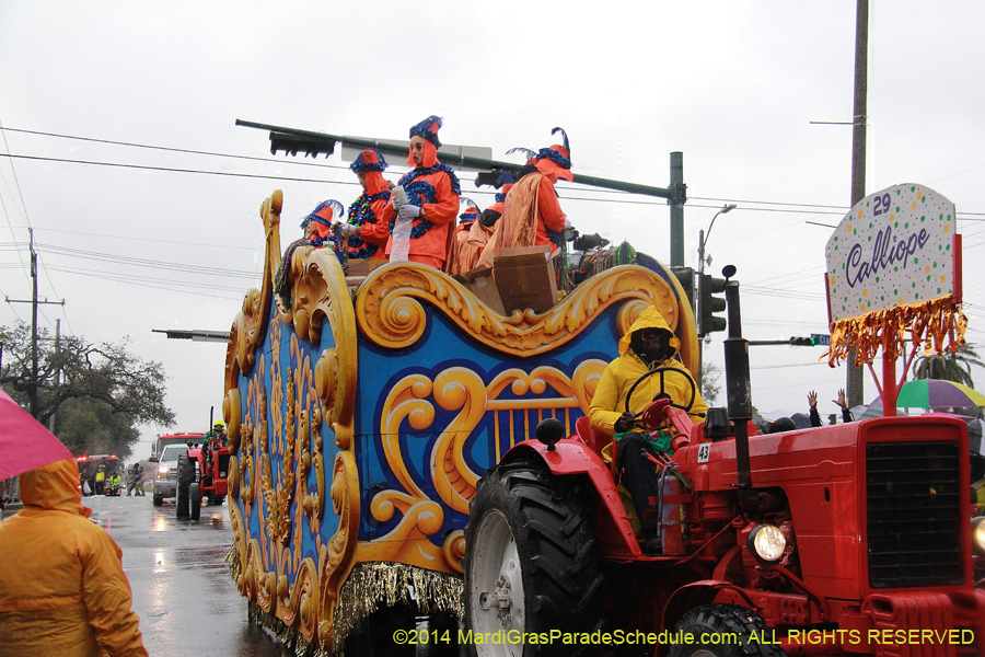 2014-Rex-King-of-Carnival-11318